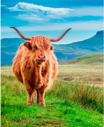 Naturskønne Skotland med Isle of Skye, Loch Ness & Orkney