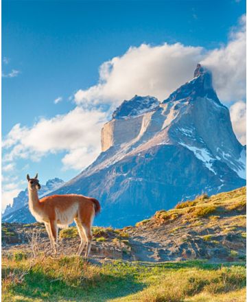 Chile & Argentina – Storslået natur ved verdens ende