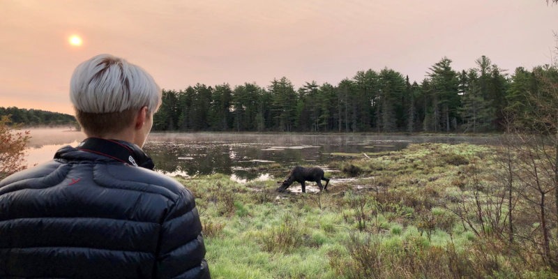 Algonquin Provincial Park: Elge, eventyr og ægte canadisk vildmark