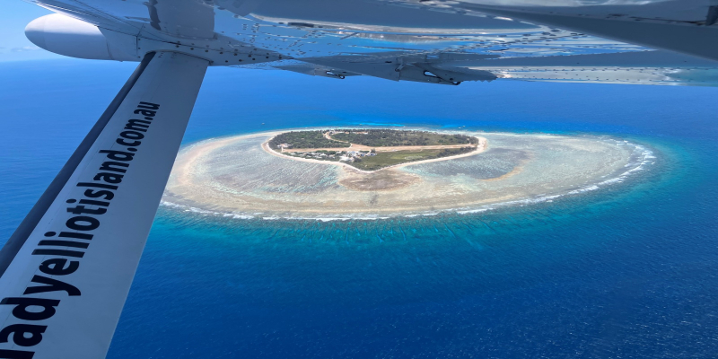 Lady Elliot Island: Når verdens største rev føles som dit eget