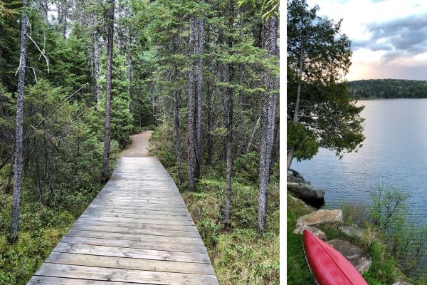 Todelt billede, som viser vandresti i skoven samt rød kano ved søbred i Algonquin Provincial Park, Canada