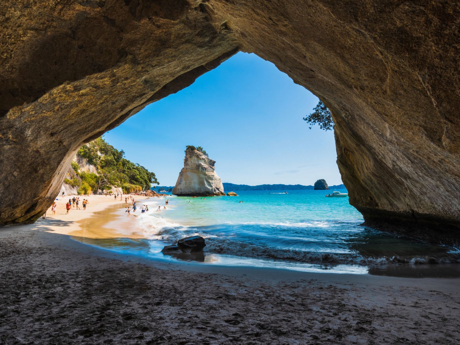 Cathedral Cove på Coromandel-halvøen, New Zealand