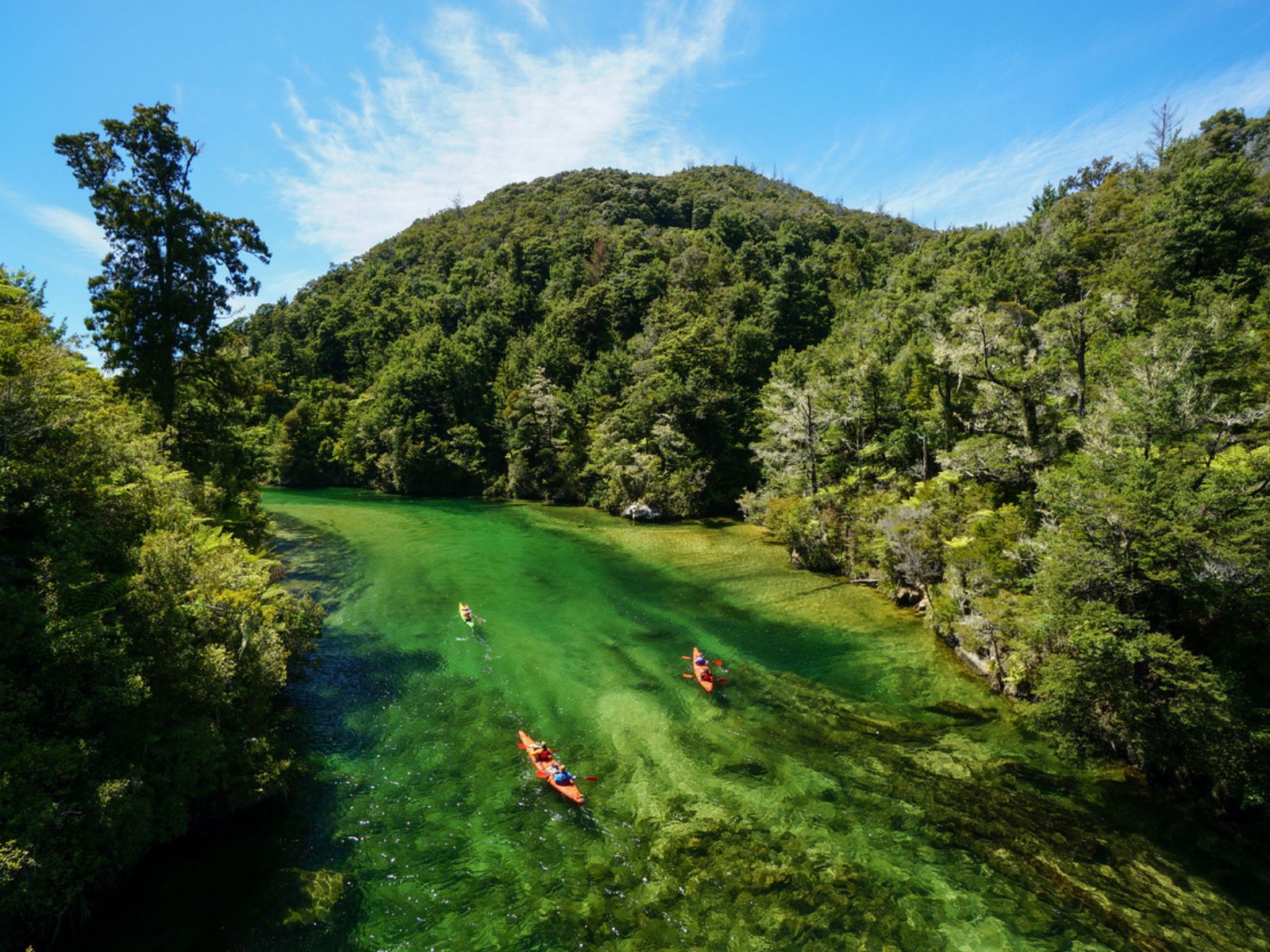 Kajakker på flod i Abel Tasman National Park Kajakker på flod i Abel Tasman National Park
