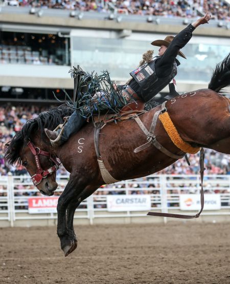 Rodeorytter ved Calgary Stampede, Canada. Foto: Calgary Stampede, Tourism Calgary Rodeorytter ved Calgary Stampede, Canada. Foto: Calgary Stampede, Tourism Calgary