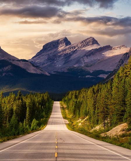 Icefield_Parkway_CA_iStock-1285695131_450-555