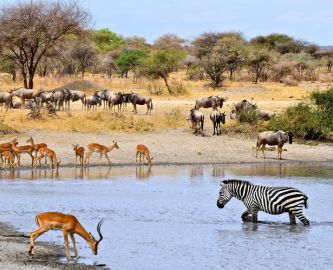 Vandhul_ved_kruger_333x270