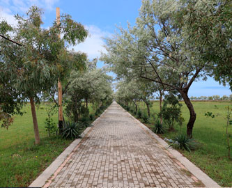 Divjaka-Karavasta National Park, Albanien Divjaka-Karavasta National Park, Albanien