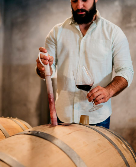 Vinsmagning direkte fra fad Vinsmagning direkte fra fad