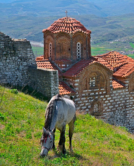 Hest ved kirke i Berat, Albanien Hest ved kirke i Berat, Albanien