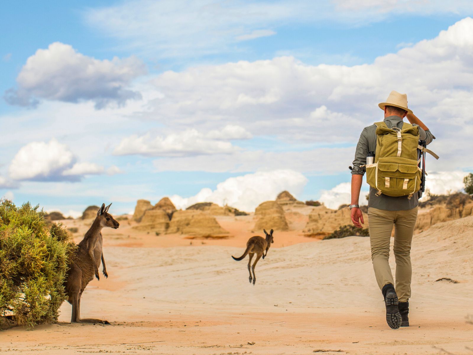 Mand vandrer i outbacken sammen med to kænguruer i Australien