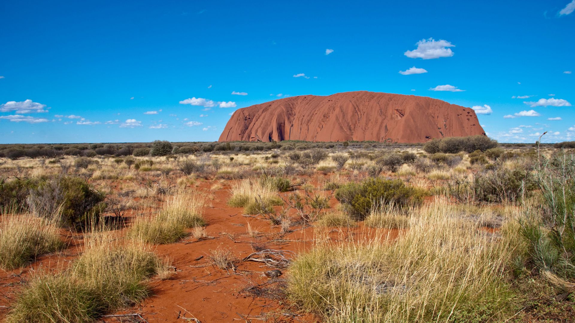 3 dages udflugt fra Uluru/Ayers Rock til Alice Springs 