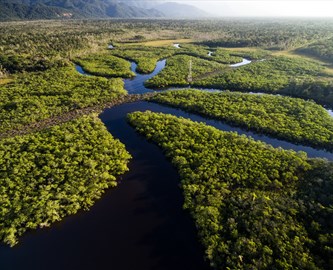 Amazonas-floden_iStock-697292990_333-270