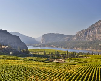 Udsigt over vinmark og landskab i Okanagan, Canada Udsigt over vinmark og landskab i Okanagan, Canada