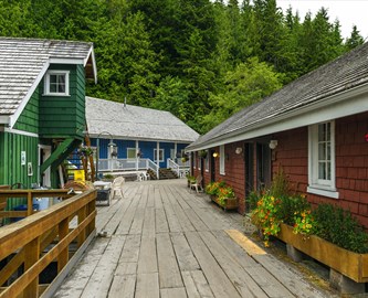 Farverige træhuse i hyggelig lille havneby i det vestlige Canada