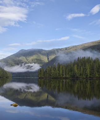 Autocamper på vej i Canadas natur