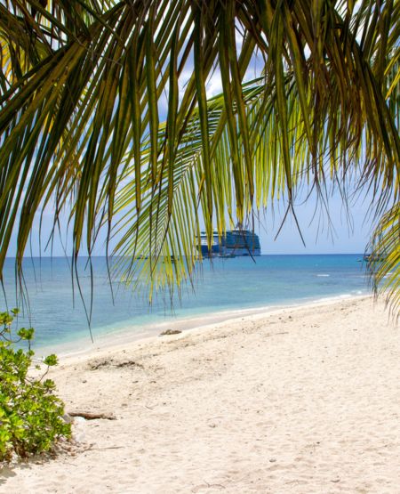 Caribisk strand med udsigt til krydstogtskib og palmer i George Town på Grand Cayman
