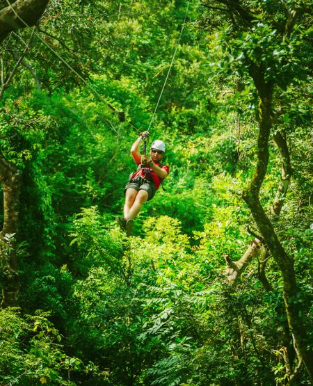 Zipline mellem trækronerne i Monteverde
