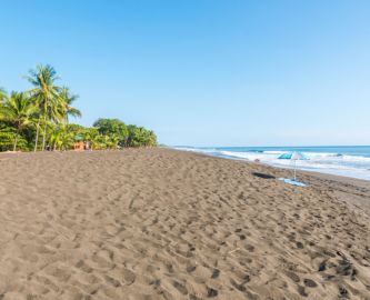 Stranden Playa Hermosa med blå himmel og palmer