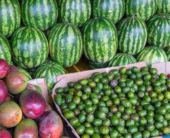 Salg af avocado, mange og vandmelon i Costa Ricas gader