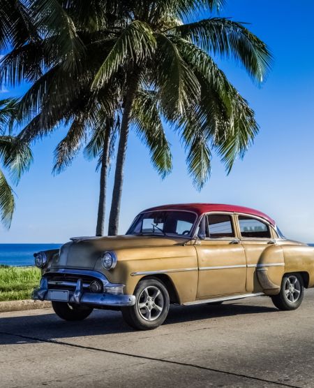 Gammel amerikanerbil på Cuba med palmer og blå himmel