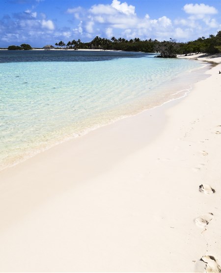 Kridhvid sandstrand med blå himmel på Cayo Santa Maria, Cuba Kridhvid sandstrand med blå himmel på Cayo Santa Maria, Cuba