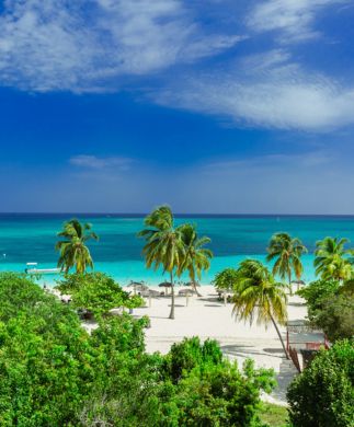 Tropisk strand med palmer, hvidt sandt og turkist hav i Holguín på Cuba