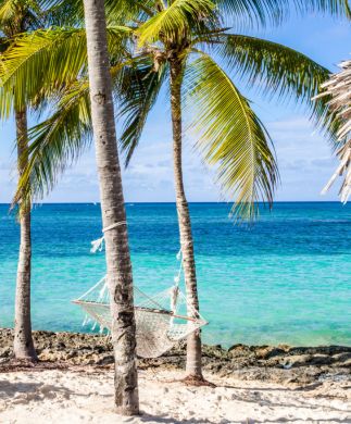 Playa Guardalavaca med tropisk sandstrand, palmer og hængekøje på Cuba