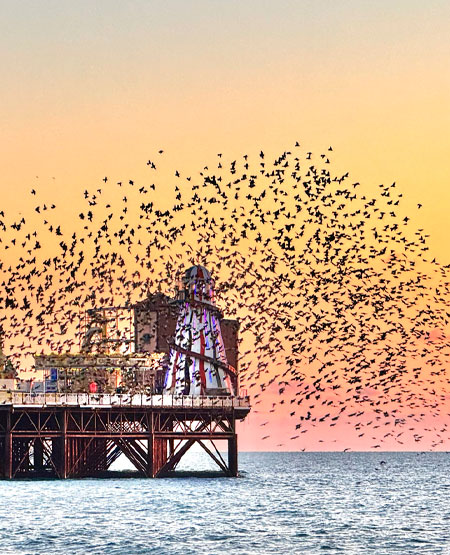 Brighton Pier, England