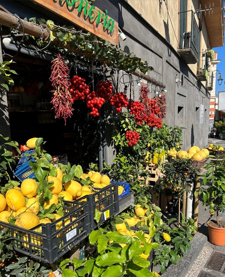 Hyggelig gadebutik i Seiano, Sorrento, Italien med citroner og blomster