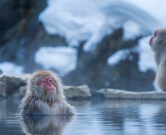 Abe i Onsen i Hakone, Japan