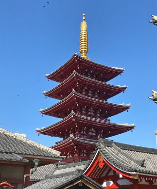 Akusa_Kannon_Tempel_323x390