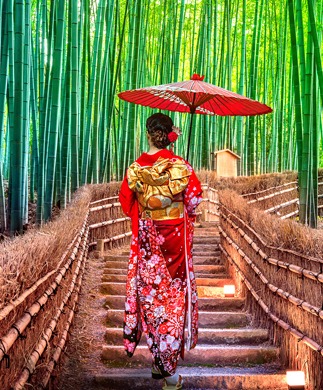 Bamabusskoven Arashiyama og geisha i Kyoto
