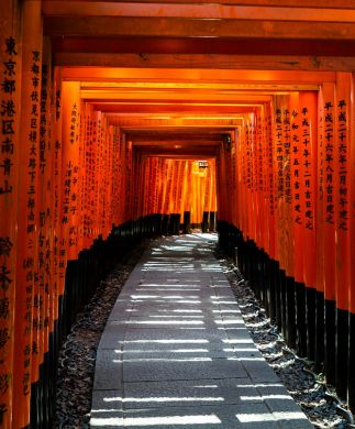 Flotte røde Torri-porte ved Fushimi Inarai-templet i Kyoto