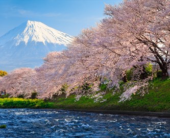 Mount_Fuji_for_ret_333-270