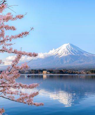 Udsigt over Mt. Fuji i Japan med kirsebærtræer i blomst og blå himmel