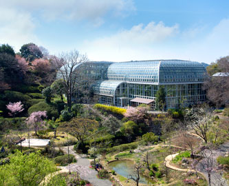 Makino Botaniske Have, Kochi - ©Visit Kochi Japan Makino Botaniske Have, Kochi - ©Visit Kochi Japan