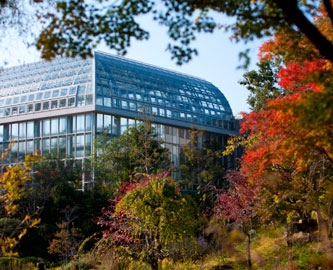 Makino Botaniske Have, Kochi - ©Visit Kochi Japan Makino Botaniske Have, Kochi - ©Visit Kochi Japan