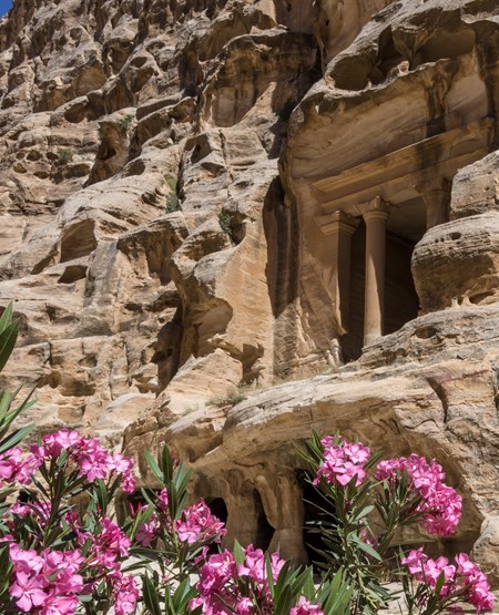 Lille_Petra_iStock_97377245_LARGE_450-555