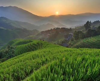 Smuk solnedgang over risterrasser i Longsheng i Kina