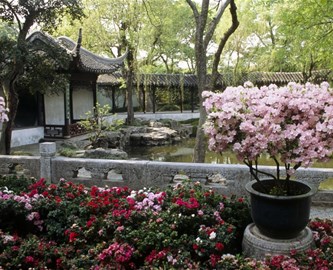 Suzhou_Garden_647943_333-270