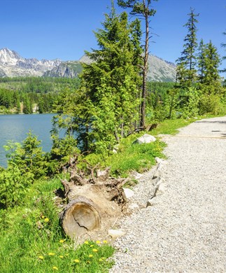 Smuk udsigt til sti ved Plitvice i Kroatien