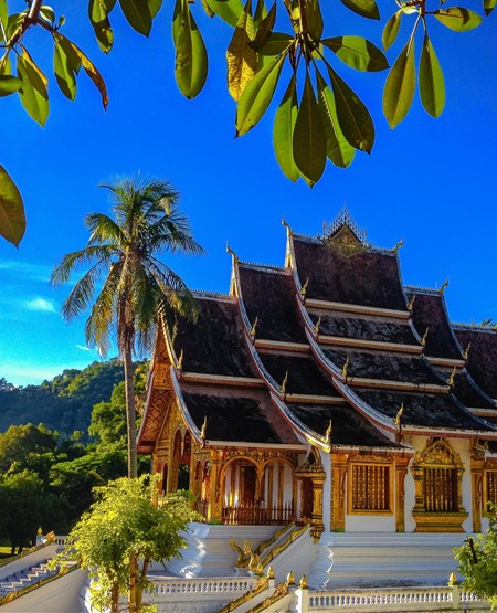 Luang_Prabang_tempel_iStock-1456009468_450-555