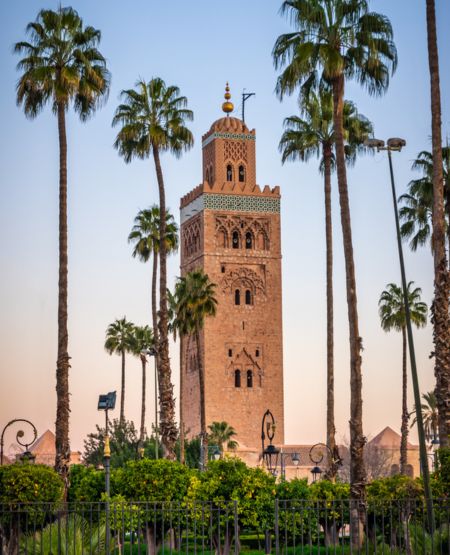 Tårn i Marrakech med blå himmel i baggrunden og palmer i forgrunden