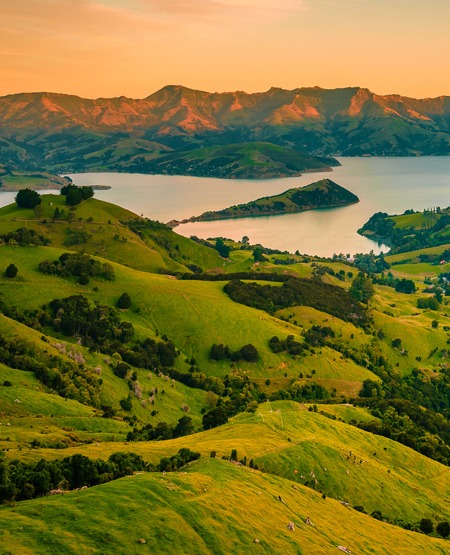 Bølgende og grønt landskab fra Dunedin, New Zealand Bølgende og grønt landskab fra Dunedin, New Zealand