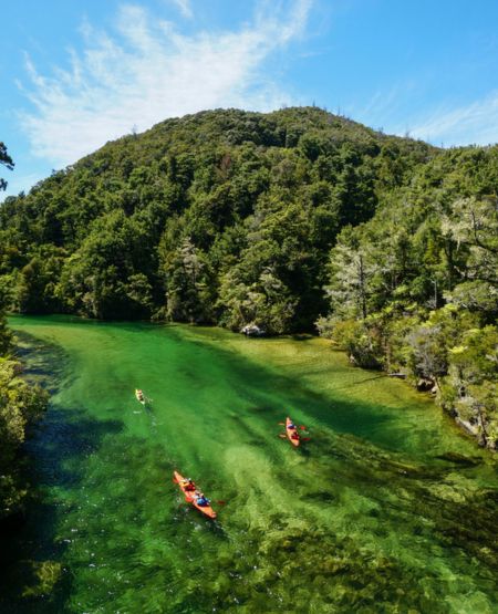 Kajakker på flod i Abel Tasman National Park