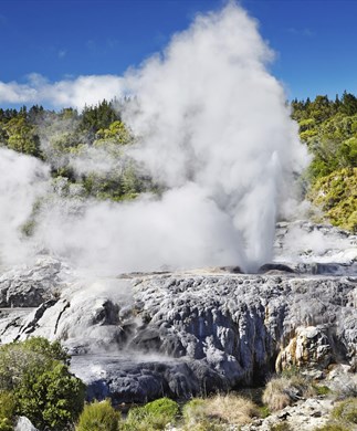 Springende gejser ved Rotorua