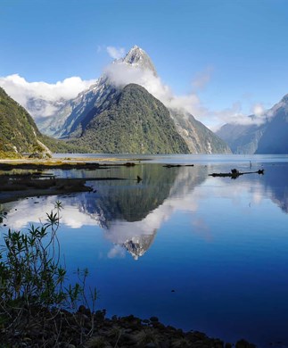 Fjordlandksb ved MIlford Sound, New Zealand Fjordlandksb ved MIlford Sound, New Zealand