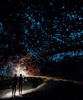 To personer i mørk grotte oplyst af lysende orme ved Waitomo, New Zealand To personer i mørk grotte oplyst af lysende orme ved Waitomo, New ZEaland