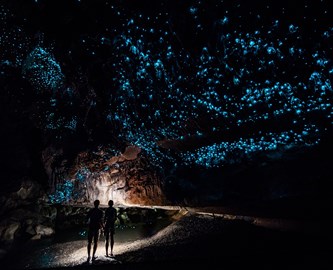 Waitomo Caves oplyst af tusindvis af glow worms