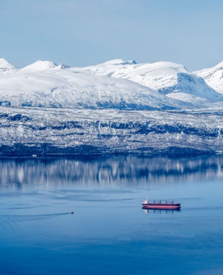 Fjord med skib og snedækkede fjelde nær Narvik